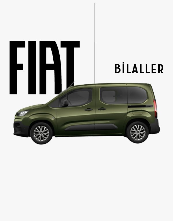 Fiat E-Doblo Panorama