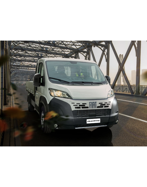 Fiat Ducato Kamyonet