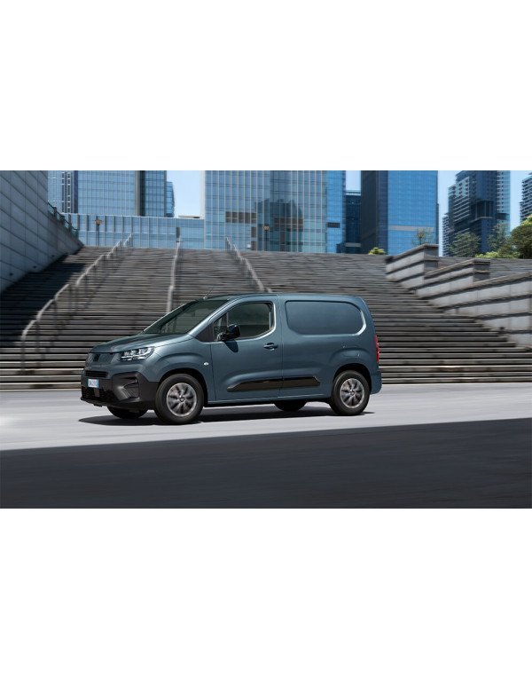 Fiat Doblo Cargo