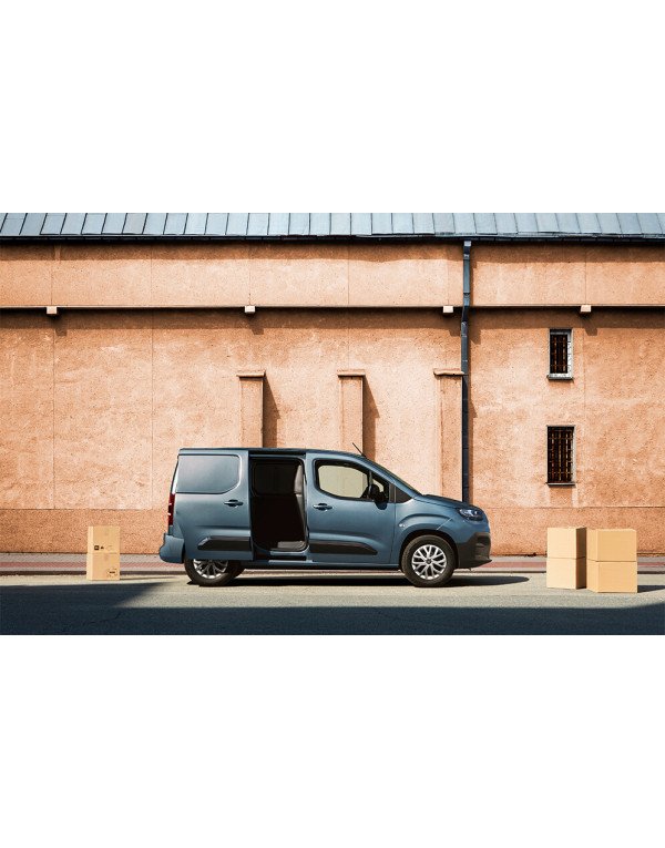Fiat Doblo Cargo