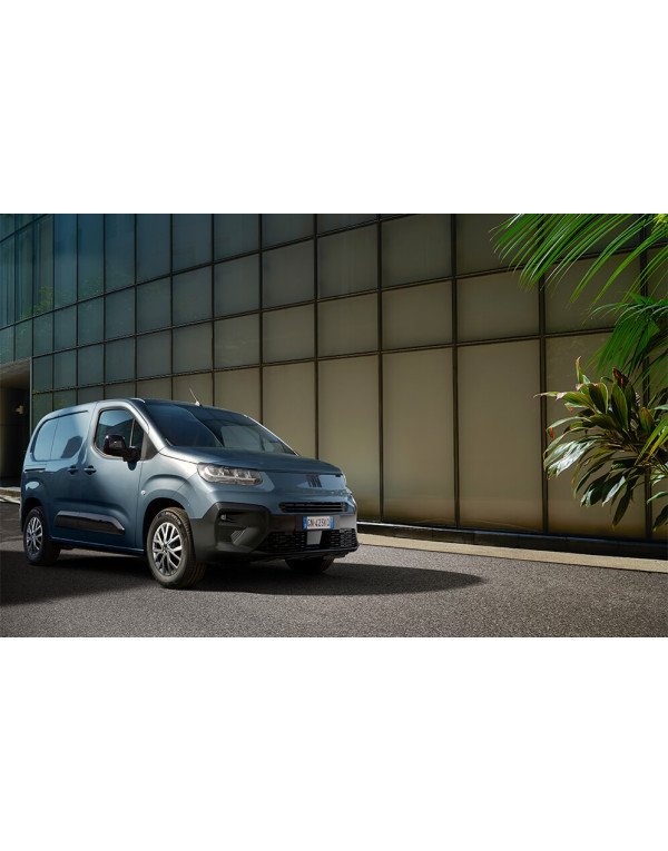 Fiat Doblo Cargo