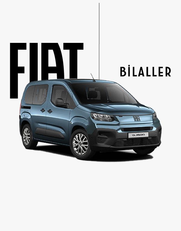 Fiat Doblo Combi