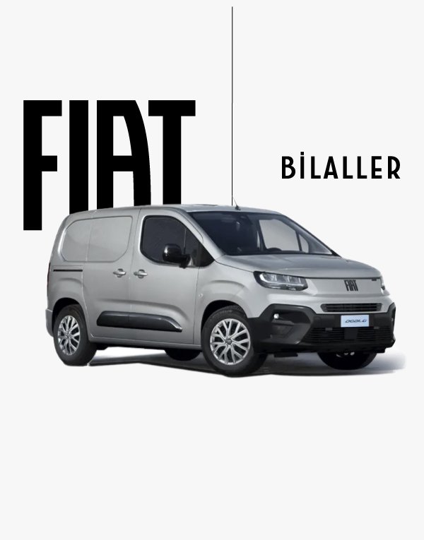 Fiat Doblo Cargo