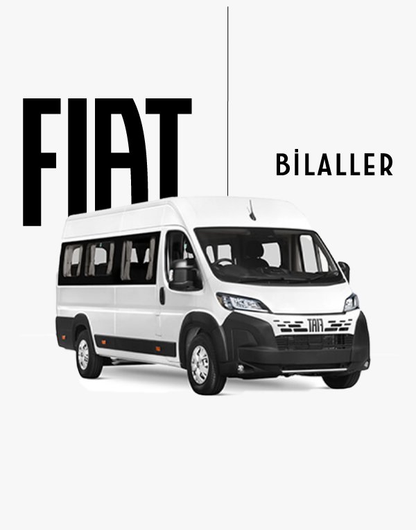 Fiat Ducato Minibüs