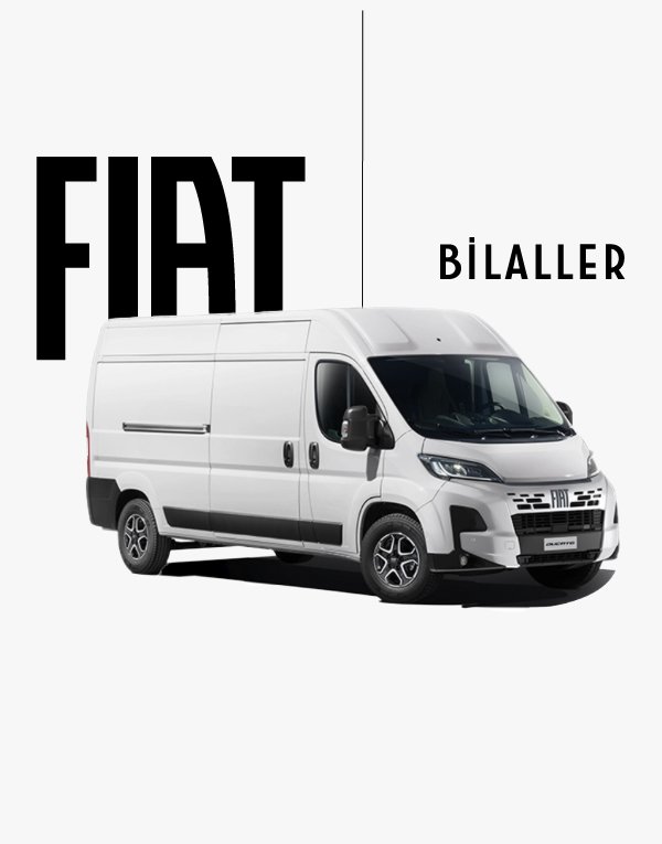 Fiat Ducato Van